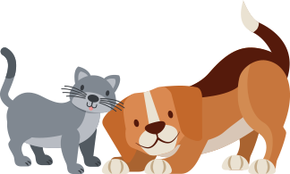 Salon Okami, Toiletteur chiens et chats à Rouvroy
