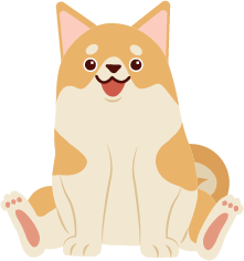 Toilettage pour chien et chat