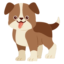 Toiletteur chiens et chats à Rouvroy