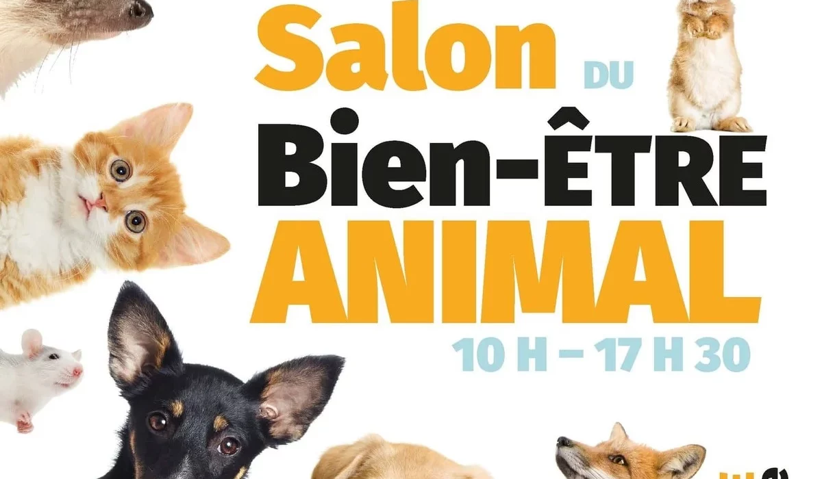 salon bien-être animal